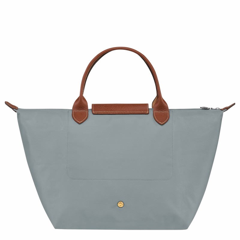 Bolsa de Mão Longchamp Le Pliage Original M Feminino Cinzentas Brasil | L1623089P80