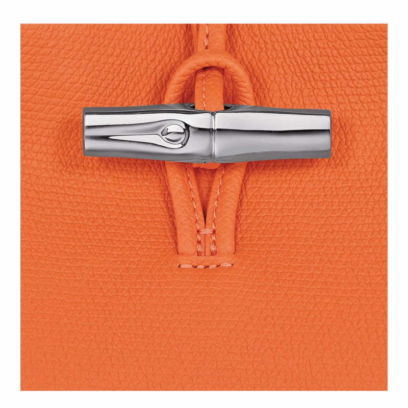 Bolsa de Mão Longchamp Le Roseau S Feminino Laranja Brasil | 10273HFP017