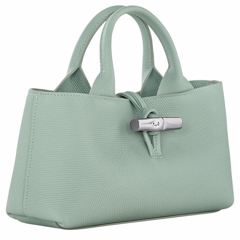 Bolsa de Mão Longchamp Le Roseau S Feminino Celadon Brasil | 10280HFP282