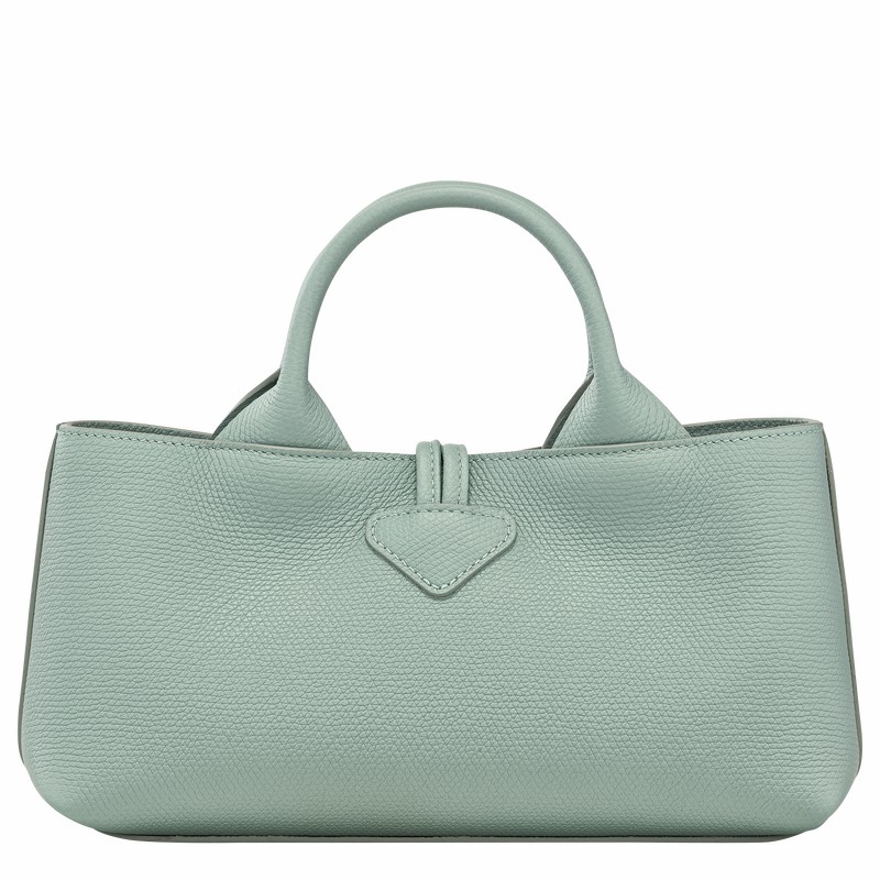 Bolsa de Mão Longchamp Le Roseau S Feminino Celadon Brasil | 10280HFP282