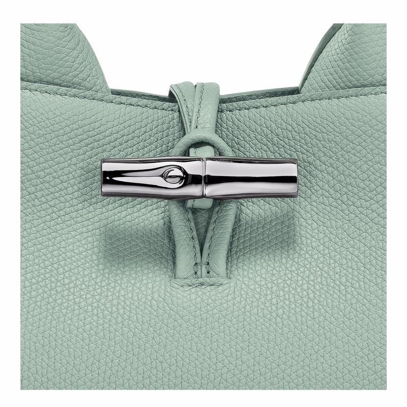 Bolsa de Mão Longchamp Le Roseau S Feminino Celadon Brasil | 10280HFP282