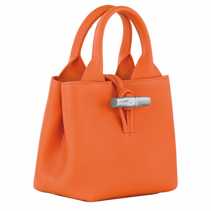 Bolsa de Mão Longchamp Le Roseau XS Feminino Laranja Brasil | 10278HFP017