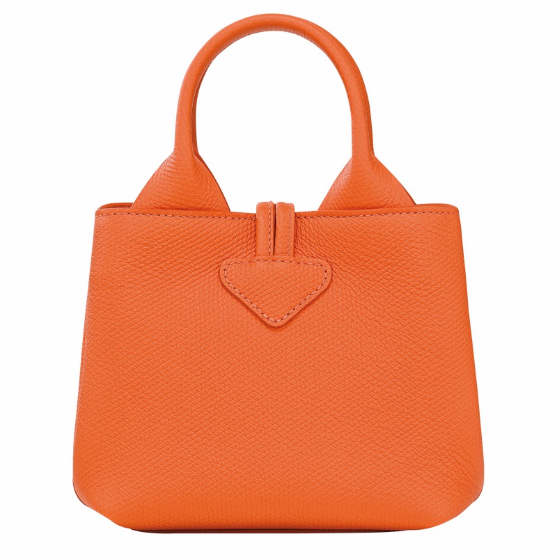 Bolsa de Mão Longchamp Le Roseau XS Feminino Laranja Brasil | 10278HFP017