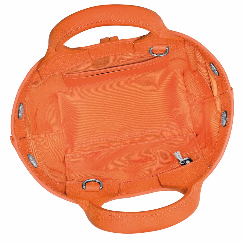 Bolsa de Mão Longchamp Le Roseau XS Feminino Laranja Brasil | 10278HFP017