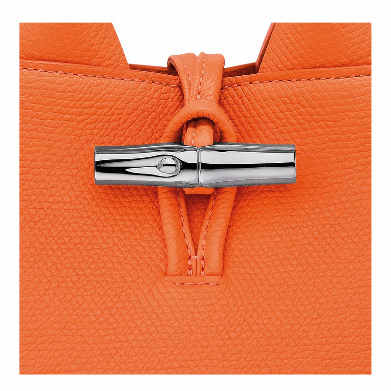 Bolsa de Mão Longchamp Le Roseau XS Feminino Laranja Brasil | 10278HFP017