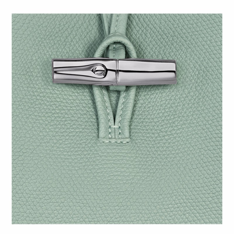 Bolsas De Ombro Longchamp Le Roseau M Feminino Celadon Brasil | 10281HFP282
