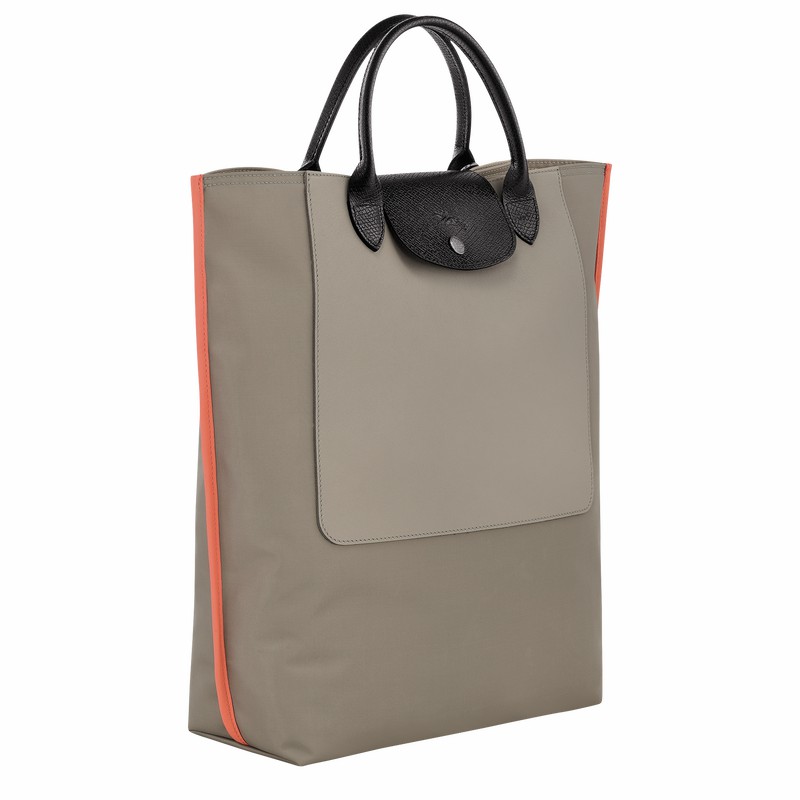 Bolsas Tote Longchamp Cabas Longchamp M Feminino Cinzentas Brasil | 10264093266
