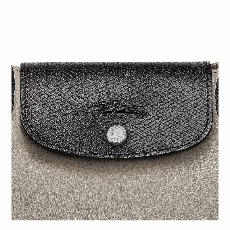 Bolsas Tote Longchamp Cabas Longchamp M Feminino Cinzentas Brasil | 10264093266