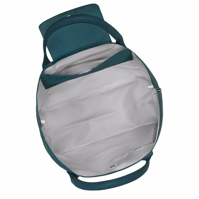 Bolsas Tote Longchamp Le Pliage Green M Masculino Azul Claro Brasil | 10168919P89-