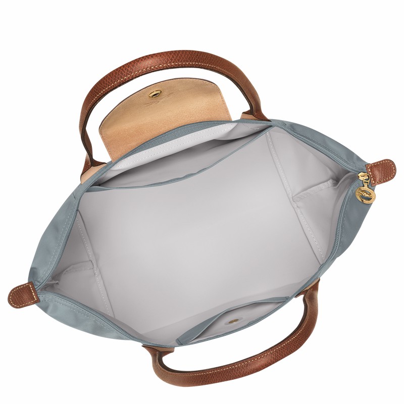 Bolsas Tote Longchamp Le Pliage Original L Feminino Cinzentas Brasil | L1899089P80