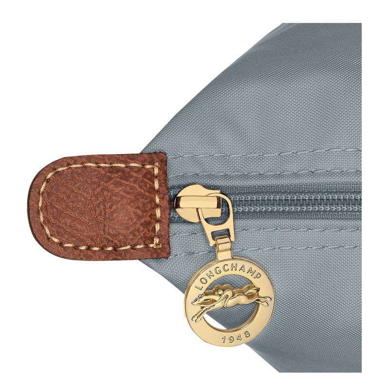 Bolsas Tote Longchamp Le Pliage Original L Feminino Cinzentas Brasil | L1899089P80