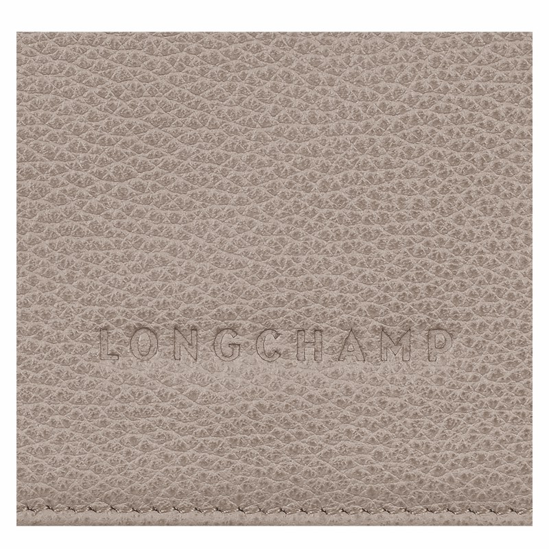 Carteiras Longchamp Le FOULONNÉ Masculino Cinzentas Brasil | 30021021P55-