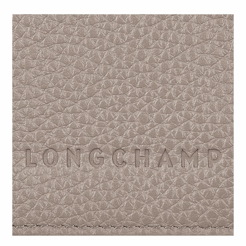 Portador De Passaporte Longchamp Le FOULONNÉ Masculino Cinzentas Brasil | L3416021P55-